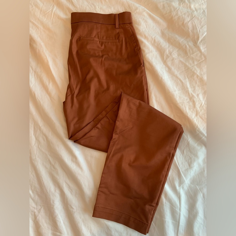 Banana Republic Men’s “Rust” Colored Slacks